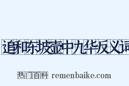 追和东坡壶中九华反义词是什么意思的图片